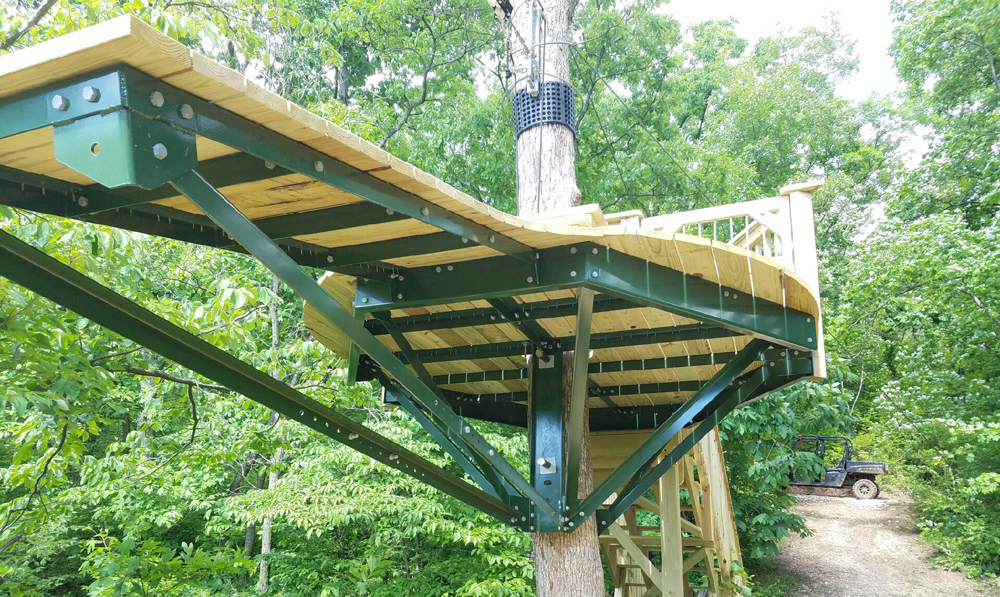 Zip-Line Platform 1