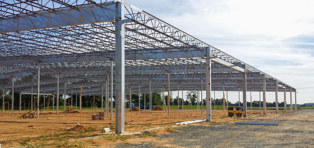 Warwick Mushroom Farm 