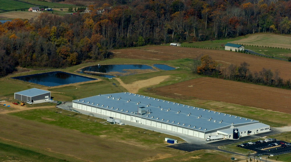 Warwick Mushroom Farm 